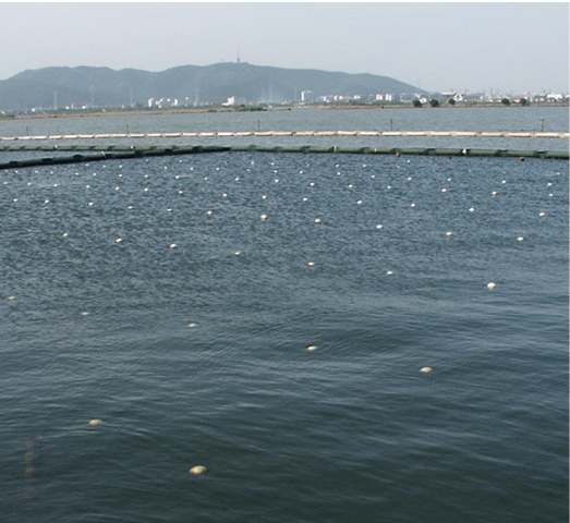 生物控藻技术