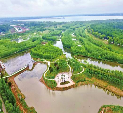湖滨缓冲带构建技术