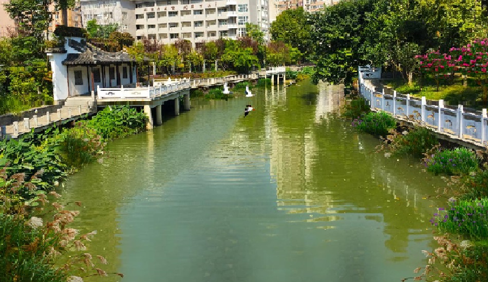 南京市鼓楼区金川河水环境提升清水浅流工程