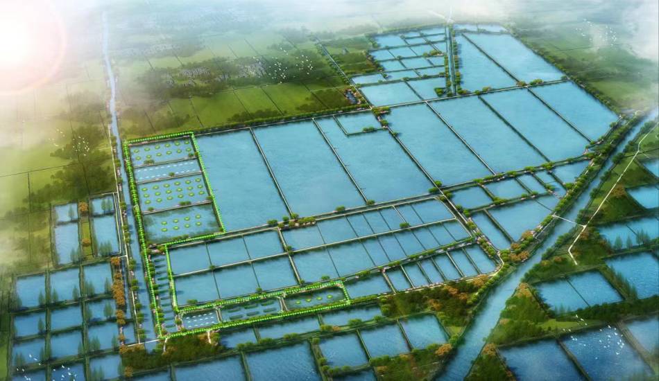 淮安市乡村振兴先导区渔业产业发展规划