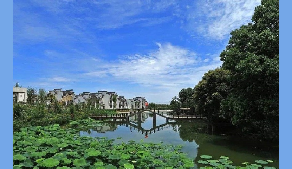 建设美丽中国 推进农业农村现代生态环境治理