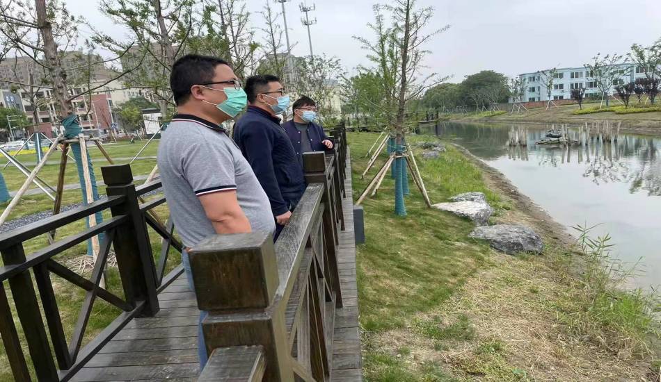 我司负责的西湾泾河河床生态系统恢复及养护技术服务项目顺利通过验收