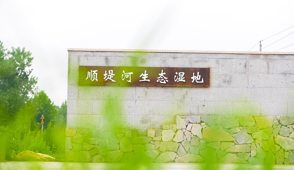 鼓足干劲！公司项目取得显著进展